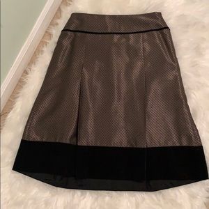 Ann Taylor Silk Skirt